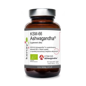 KENAY Ashwagandha KSM-66 (60 capsule) - Viking Supplements
