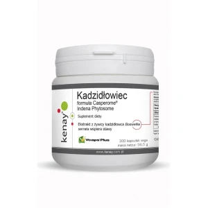 KENAY Boswellia Casperome Indena Phytosome (300 capsule) - Viking Supplements