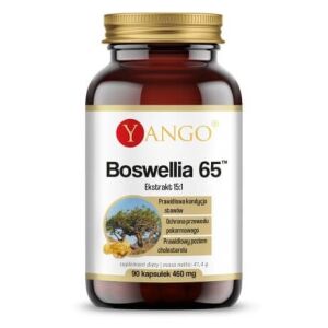 YANGO Boswellia 65 (90 de capsule) - Viking Supplements