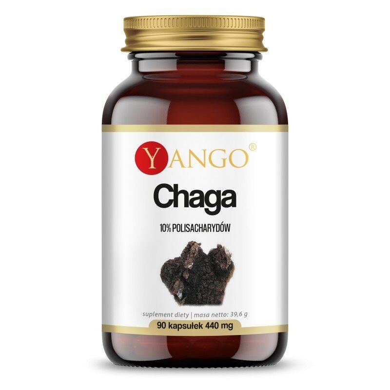 YANGO Chaga - 10% (90 capsule) - Viking Supplements