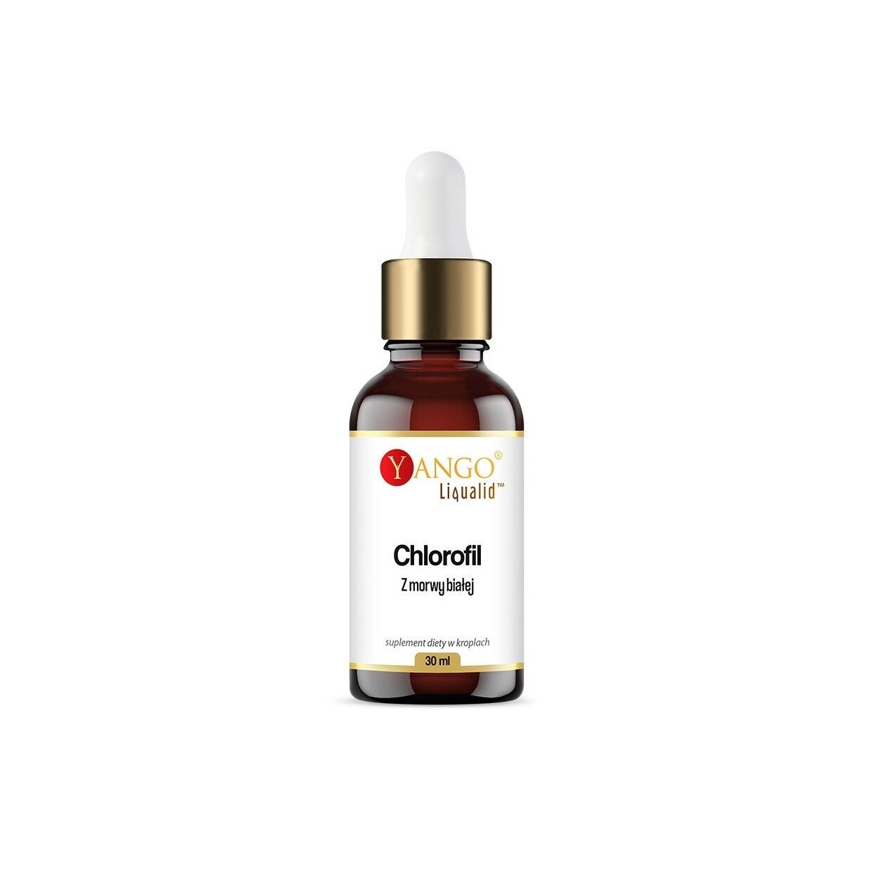 YANGO Clorofilă din dud alb, sub formă de picături (30 ml / 1 fl. oz.) - Viking Supplements